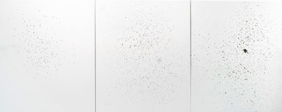 Unni_Askeland_-_Palimpsest